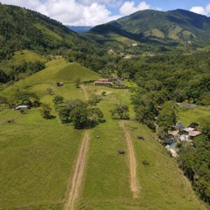 Lote 2.500 m² con Quebrada en San Carlos