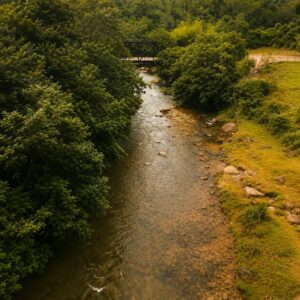 Loteo Ancestral Vereda Peñoles