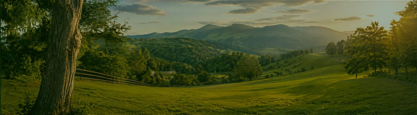 Venta de lotes, terrenos en San Carlos y Rionegro Antioquia