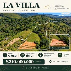 Lote la Villa 9300m2