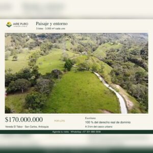Venta Lote Tabor