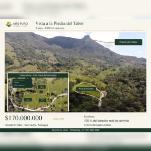 Venta Lotes Tabor
